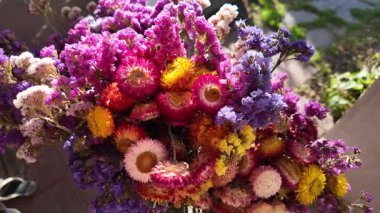 Parlak sonbahar çiçekleri. Kurumuş çiçekler. Duvarda kurumuş çiçek aranjmanı ve oda dekorunda zemin. Çiçeklerin arka planı değişiyor. Saha kurumuş iç organ.