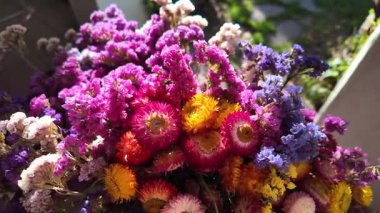 Parlak sonbahar çiçekleri. Kurumuş çiçekler. Duvarda kurumuş çiçek aranjmanı ve oda dekorunda zemin. Çiçeklerin arka planı değişiyor. Saha kurumuş iç organ.