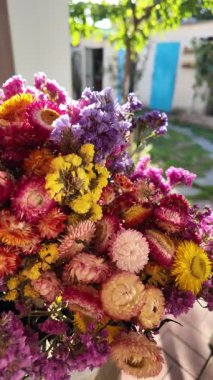 Parlak sonbahar çiçekleri. Kurumuş çiçekler. Duvarda kurumuş çiçek aranjmanı ve oda dekorunda zemin. Çiçeklerin arka planı değişiyor. Saha kurumuş iç organ.