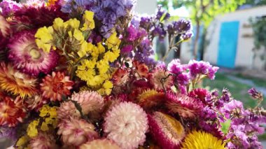 Parlak sonbahar çiçekleri. Kurumuş çiçekler. Duvarda kurumuş çiçek aranjmanı ve oda dekorunda zemin. Çiçeklerin arka planı değişiyor. Saha kurumuş iç organ.