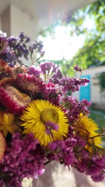 Parlak sonbahar çiçekleri. Kurumuş çiçekler. Duvarda kurumuş çiçek aranjmanı ve oda dekorunda zemin. Çiçeklerin arka planı değişiyor. Saha kurumuş iç organ.