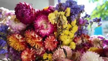 Parlak sonbahar çiçekleri. Kurumuş çiçekler. Duvarda kurumuş çiçek aranjmanı ve oda dekorunda zemin. Çiçeklerin arka planı değişiyor. Saha kurumuş iç organ.