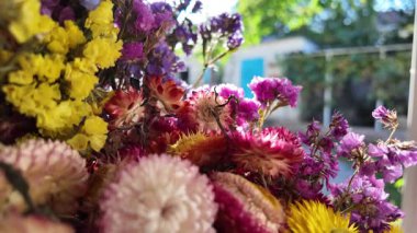 Parlak sonbahar çiçekleri. Kurumuş çiçekler. Duvarda kurumuş çiçek aranjmanı ve oda dekorunda zemin. Çiçeklerin arka planı değişiyor. Saha kurumuş iç organ.