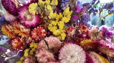 Parlak sonbahar çiçekleri. Kurumuş çiçekler. Duvarda kurumuş çiçek aranjmanı ve oda dekorunda zemin. Çiçeklerin arka planı değişiyor. Saha kurumuş iç organ.