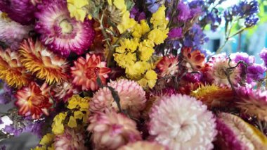 Parlak sonbahar çiçekleri. Kurumuş çiçekler. Duvarda kurumuş çiçek aranjmanı ve oda dekorunda zemin. Çiçeklerin arka planı değişiyor. Saha kurumuş iç organ.