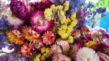 Parlak sonbahar çiçekleri. Kurumuş çiçekler. Duvarda kurumuş çiçek aranjmanı ve oda dekorunda zemin. Çiçeklerin arka planı değişiyor. Saha kurumuş iç organ.