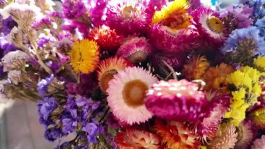 Parlak sonbahar çiçekleri. Kurumuş çiçekler. Duvarda kurumuş çiçek aranjmanı ve oda dekorunda zemin. Çiçeklerin arka planı değişiyor. Saha kurumuş iç organ.