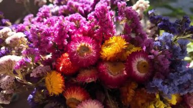 Parlak sonbahar çiçekleri. Kurumuş çiçekler. Duvarda kurumuş çiçek aranjmanı ve oda dekorunda zemin. Çiçeklerin arka planı değişiyor. Saha kurumuş iç organ.