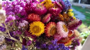 Parlak sonbahar çiçekleri. Kurumuş çiçekler. Duvarda kurumuş çiçek aranjmanı ve oda dekorunda zemin. Çiçeklerin arka planı değişiyor. Saha kurumuş iç organ.
