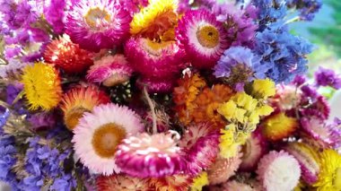 Parlak sonbahar çiçekleri. Kurumuş çiçekler. Duvarda kurumuş çiçek aranjmanı ve oda dekorunda zemin. Çiçeklerin arka planı değişiyor. Saha kurumuş iç organ.