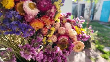 Parlak sonbahar çiçekleri. Kurumuş çiçekler. Duvarda kurumuş çiçek aranjmanı ve oda dekorunda zemin. Çiçeklerin arka planı değişiyor. Saha kurumuş iç organ.