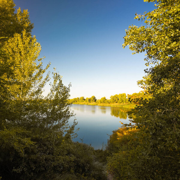 Golden sunlight bathes a tranquil river framed by lush autumn trees. Reflections shimmer on the calm water, inviting peace and stillness in this serene forest landscape.