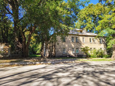  Uzun ağaçlarla gölgelenmiş iki katlı tuğladan bir evi olan sessiz bir yerleşim yeri. Güneş ışığı yaprakların arasından süzülür, yumuşak gölgeler bırakır. Klasik cazibe ve yeşillikle huzurlu bir şehir manzarası..