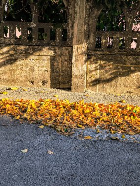 Bir yığın sarı ve kahverengi sonbahar yaprakları eskimiş taş bir çitin yanındaki asfalt bir sokakta duruyor. Sıcak güneş ışığı uzun gölgeler oluşturur, mevsimsel dokuları ve sakin şehir ortamını vurgular..