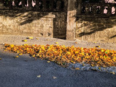 Bir yığın sarı ve kahverengi sonbahar yaprakları eskimiş taş bir çitin yanındaki asfalt bir sokakta duruyor. Sıcak güneş ışığı uzun gölgeler oluşturur, mevsimsel dokuları ve sakin şehir ortamını vurgular..