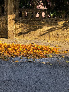 Bir yığın sarı ve kahverengi sonbahar yaprakları eskimiş taş bir çitin yanındaki asfalt bir sokakta duruyor. Sıcak güneş ışığı uzun gölgeler oluşturur, mevsimsel dokuları ve sakin şehir ortamını vurgular..