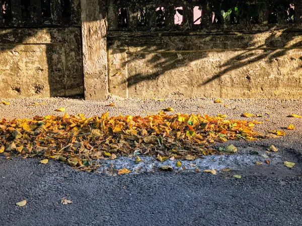 Bir yığın sarı ve kahverengi sonbahar yaprakları eskimiş taş bir çitin yanındaki asfalt bir sokakta duruyor. Sıcak güneş ışığı uzun gölgeler oluşturur, mevsimsel dokuları ve sakin şehir ortamını vurgular..