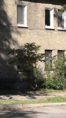  Uzun ağaçlarla gölgelenmiş iki katlı tuğladan bir evi olan sessiz bir yerleşim yeri. Güneş ışığı yaprakların arasından süzülür, yumuşak gölgeler bırakır. Klasik cazibe ve yeşillikle huzurlu bir şehir manzarası..