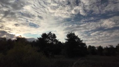 Orman ve bulutlu hava. 4K yavaş çekim videosu. Ormanda bir patika boyunca yürüyorum. Bulutlu gökyüzü ve ağaçlar. Çalıların arasından geçen patika boyunca parkta yürüyüş yapmak..