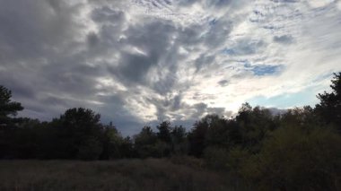 Orman ve bulutlu hava. 4K yavaş çekim videosu. Ormanda bir patika boyunca yürüyorum. Bulutlu gökyüzü ve ağaçlar. Çalıların arasından geçen patika boyunca parkta yürüyüş yapmak..