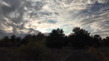 Orman ve bulutlu hava. 4K yavaş çekim videosu. Ormanda bir patika boyunca yürüyorum. Bulutlu gökyüzü ve ağaçlar. Çalıların arasından geçen patika boyunca parkta yürüyüş yapmak..