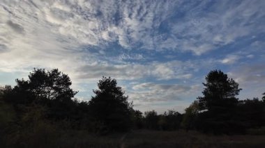 Orman ve bulutlu hava. 4K yavaş çekim videosu. Ormanda bir patika boyunca yürüyorum. Bulutlu gökyüzü ve ağaçlar. Çalıların arasından geçen patika boyunca parkta yürüyüş yapmak..