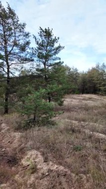 Orman ve bulutlu hava. Dikey video. 4K yavaş çekim videosu. Ormanda bir patika boyunca yürüyorum. Bulutlu gökyüzü ve ağaçlar. Ukrayna, çalıların arasından geçen patika boyunca parkta yürüyüş.