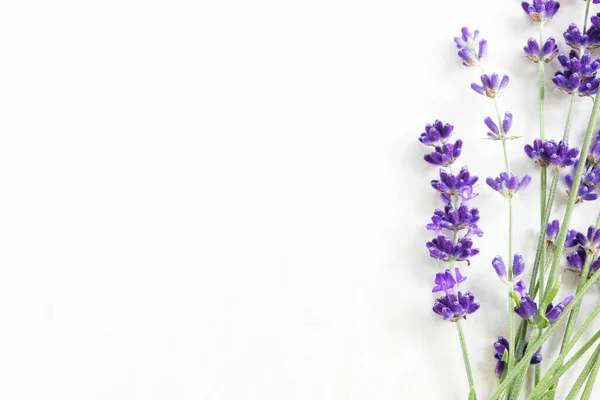 Lavendrové Květiny Mramorovém Povrchu Kopírovacím Prostorem — Stock fotografie