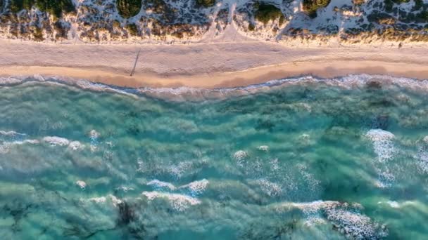 Mallorca Nın Havadan Görünüşü Balear Adaları Spanya Daki Trenc Plajı — Stok video