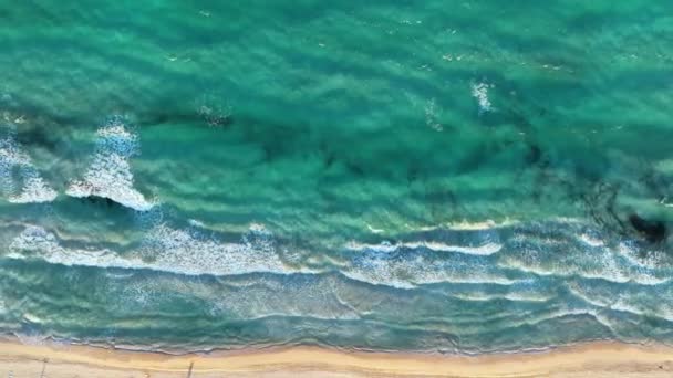 Αεροφωτογραφία Της Μαγιόρκα Βαλεαρίδες Νήσοι Trenc Beach Στην Ισπανία — Αρχείο Βίντεο