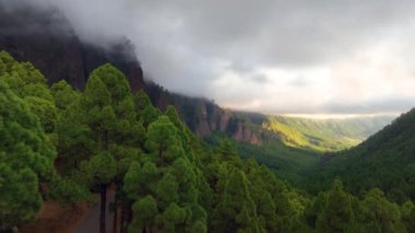 El Paso, La Palma Adası 'ndaki çam ağaçları ve bulutlardan oluşan vadinin hava manzarası. İspanya