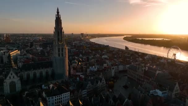 Aerial View Cityscape Antwerpen Gothic Style Landmark Cathedral Our Lady — Stock video