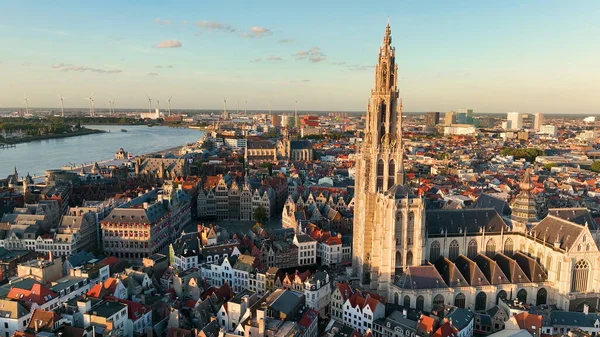 4K从空中俯瞰安特卫普城 哥特式标志性的安特卫普夫人大教堂和比利时城市历史中心 图库图片