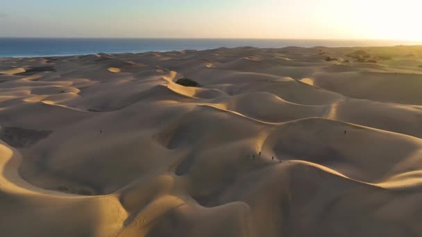 Draufsicht Auf Die Sanddünen Von Maspalomas Luftaufnahme Der Insel Gran — Stockvideo