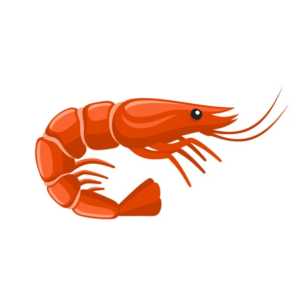 Shrimp Icon White Background Vector Illustration — Stock Vector