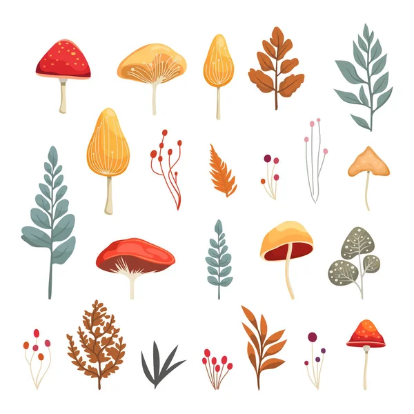 Folhas Outono Flores Cogumelos Set Ilustração Vetorial —  Vetores de Stock