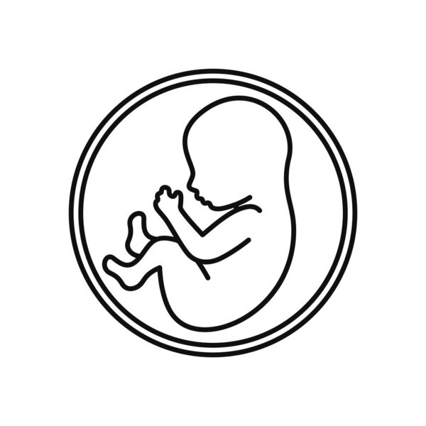 Human Embryo in the Womb Icon. Fetus Logo. Vector illustration