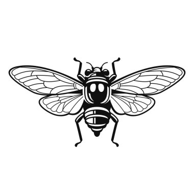 Beyaz Arkaplanda Ağustos Böceği. Vektör illüstrasyonu