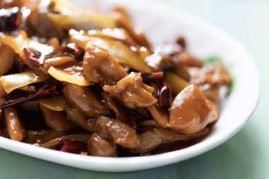 Geleneksel Çin mutfağı kung pao tavuğunun kapağını kapatın.