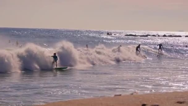 Surfers Waiting Wave High Quality Footage — Stockvideo