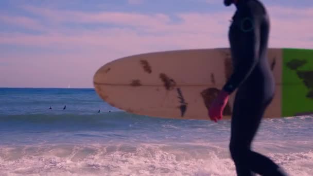 Surfer Walks Beach High Quality Footage — Stock Video