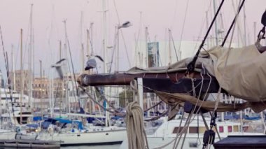 A seagull sits on the mast of a ship. Sunset in the port.