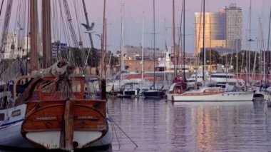 An old sailboat in the port, Barcelona at sunset. Seagulls are circling.