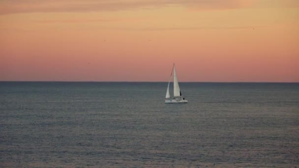 Lonely Sailboat Sails Sea Sunset — Stock Video