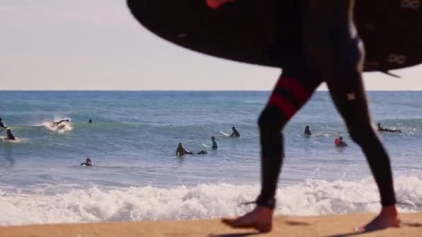 Surfeur Marchant Sur Sable Jaune Coucher Soleil Images Haute Qualité — Video