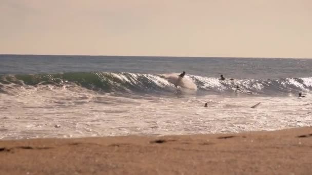 Barcelona Západ Slunce Pláž Surfování Den Vysoce Kvalitní Záběry — Stock video