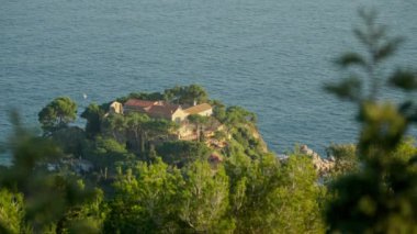 House on the beach in greenery. High quality 4k footage