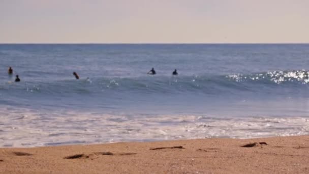 スペインのサンセットサーフィンビーチ 高品質4K映像 — ストック動画