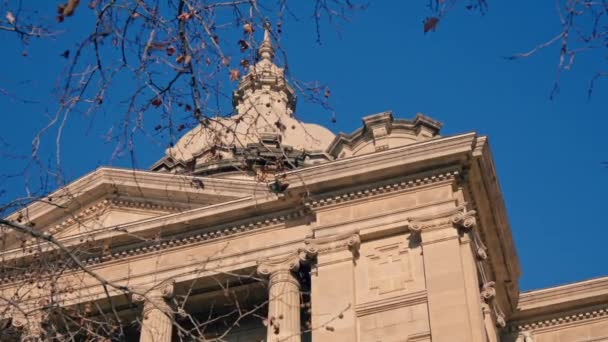 Εθνικό Παλάτι Τέχνης Μπαρτσελόνα Υψηλής Ποιότητας Πλάνα — Αρχείο Βίντεο