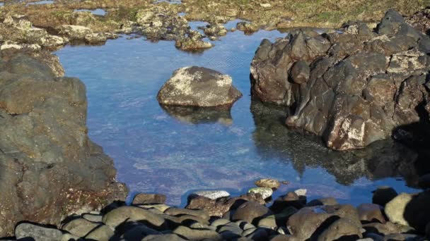 火山岩中透明的天然水池 高质量的4K镜头 — 图库视频影像